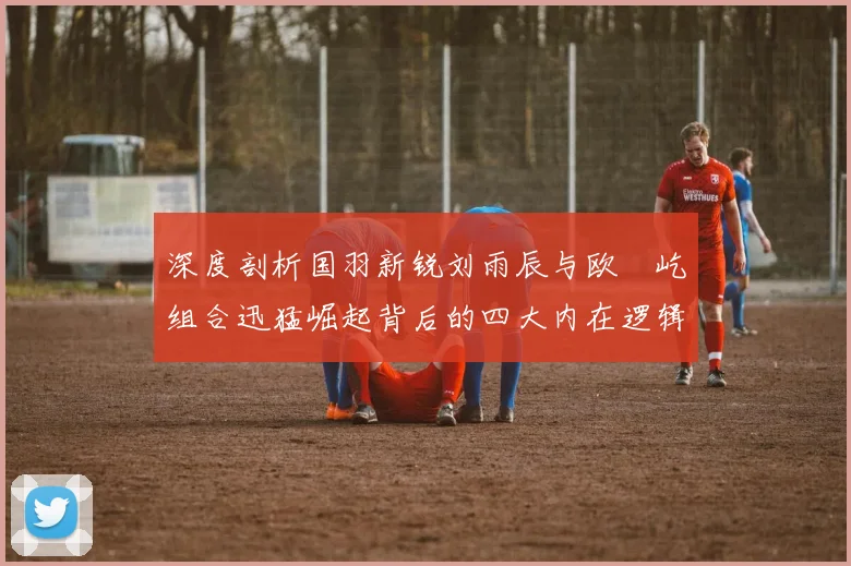 深度剖析国羽新锐刘雨辰与欧烜屹组合迅猛崛起背后的四大内在逻辑