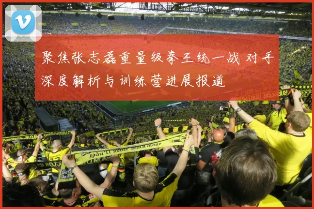 聚焦张志磊重量级拳王统一战 对手深度解析与训练营进展报道