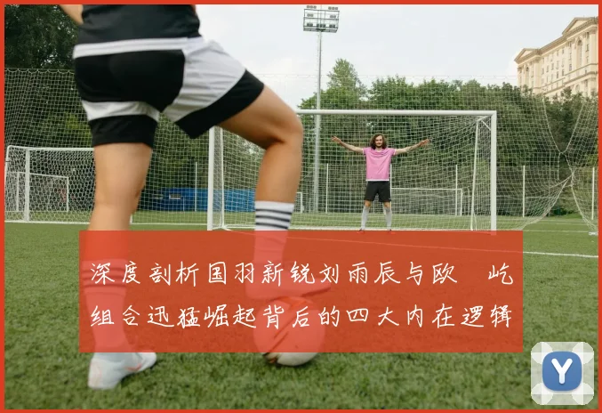 深度剖析国羽新锐刘雨辰与欧烜屹组合迅猛崛起背后的四大内在逻辑