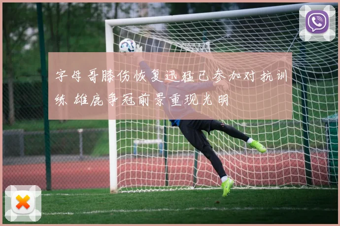 字母哥膝伤恢复迅猛已参加对抗训练 雄鹿争冠前景重现光明
