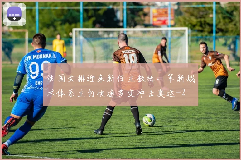 法国女排迎来新任主教练,革新战术体系主打快速多变冲击奥运
