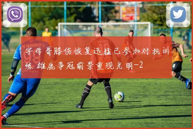 字母哥膝伤恢复迅猛已参加对抗训练 雄鹿争冠前景重现光明